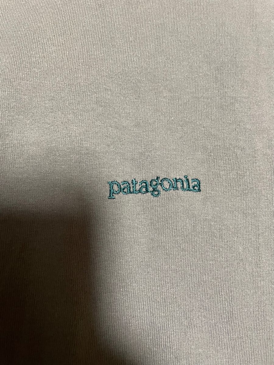 パタゴニア patagonia Tシャツ 黒タグ S トルコ製