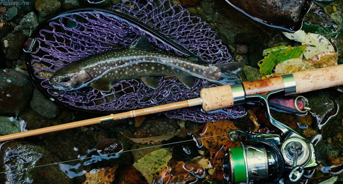 新品 ダイワ(DAIWA) 23 ネイティブトラウト PURELIST(ピュア 新品 ダイワ(DAIWA) 23 ネイティブトラウト PURELIST(ピュア
