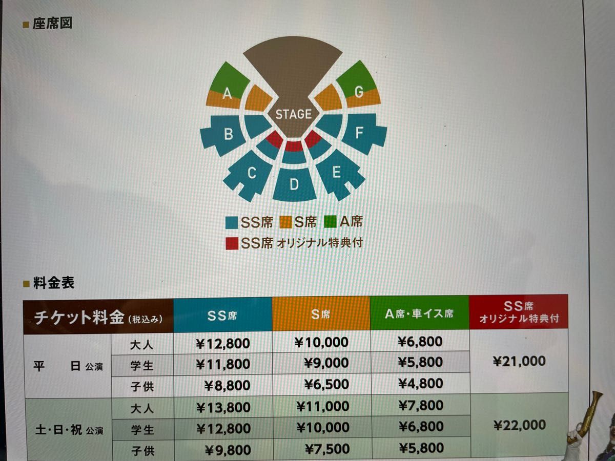 アレグリア 東京公演 SS席 チケット 2023年4月28日 大人 1枚 お台場