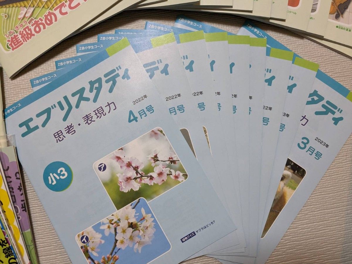 Z会 小3 1年分 ハイレベル(国算理社) 思考・表現力