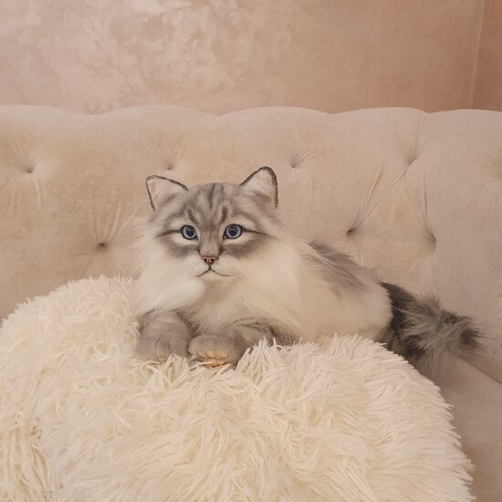ぬいぐるみ 猫 ラグドール アートドール リアル 羊毛フェルト ぬいぐるみ 猫 ラグドール アートドール リアル 羊毛フェルト