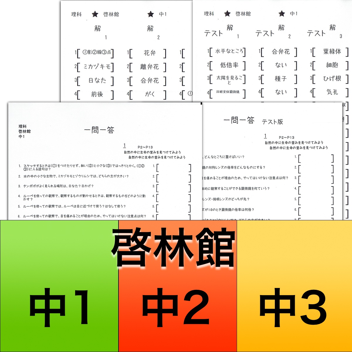 R３年度版★啓林館★理科教科書暗記★中3★並替テスト付き一問一答★暗記するなら絶対これ！塾用自作教材_画像1