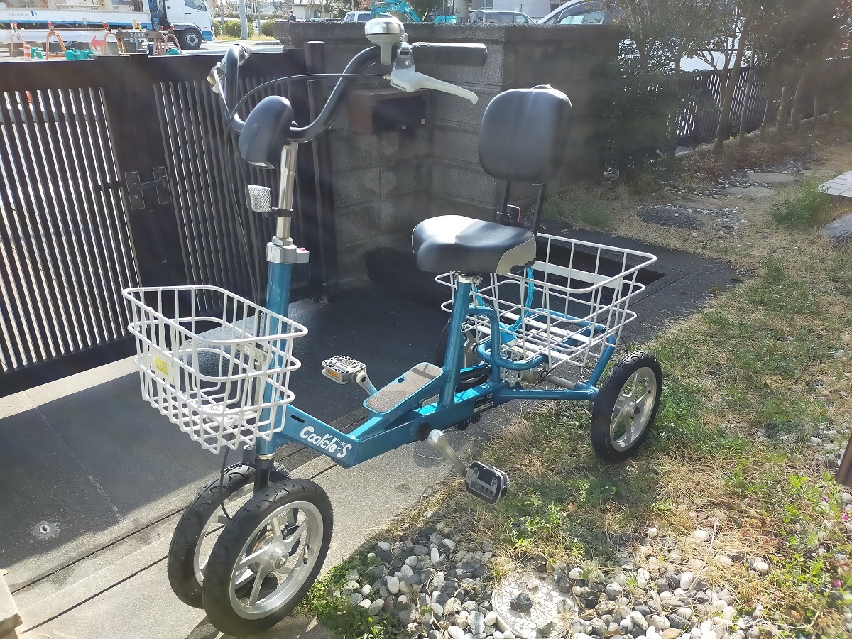 気質アップ】 三輪自転車 三輪車 primiciaservicos.com.br 三輪自転車