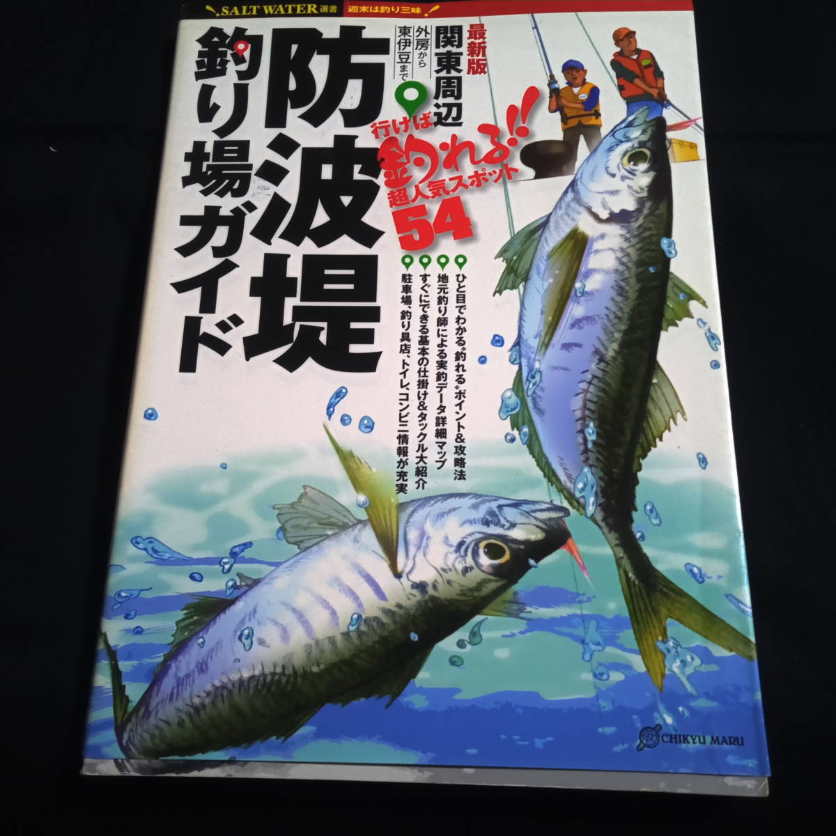 関東周辺　防波堤釣り場ガイド　行けば釣れる！超人気スポット54　外房から東伊豆まで_画像1