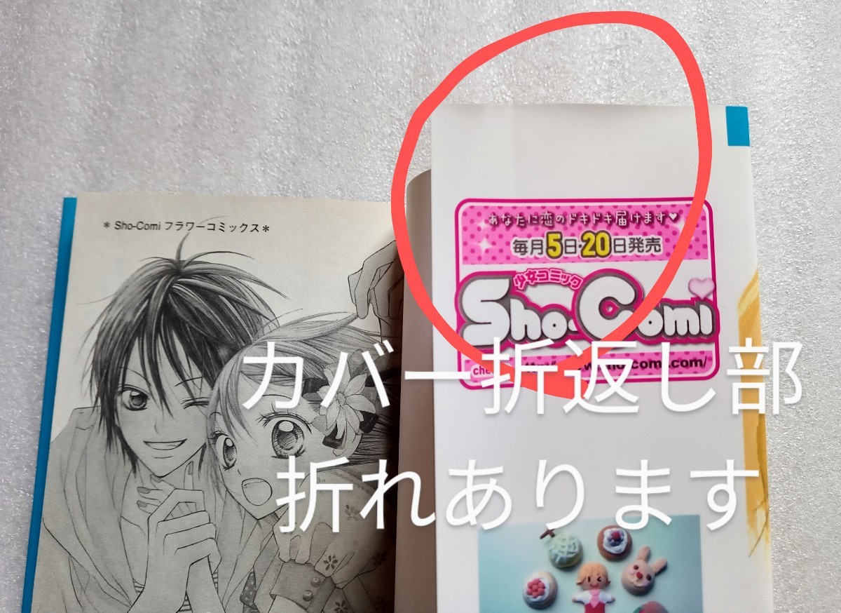 君と恋におちる魔法で 千葉コズエ 少コミフラワーコミックス 2010年1月20日第3刷 小学館