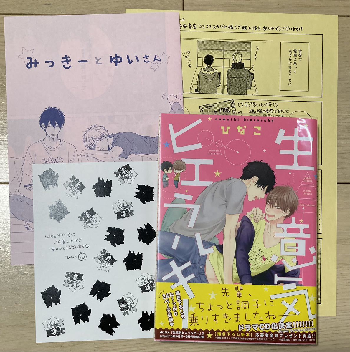 商品詳細必読! ★ひなこ 『生意気ヒエラルキー』 サイン本 3種特典付★ コミコミ 全サ小冊子