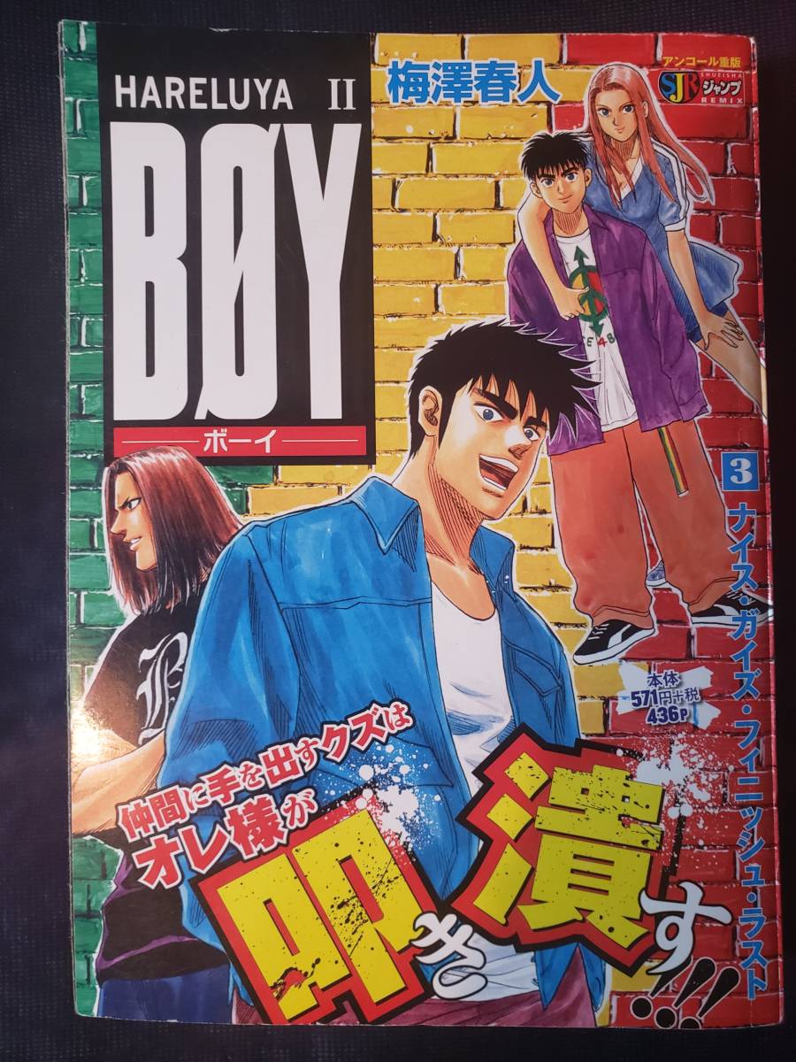 ナイス・ガイズ・フィニッシュ・ラスト　HARELUYA　BOY　梅澤春人　　ハレルヤ_画像1