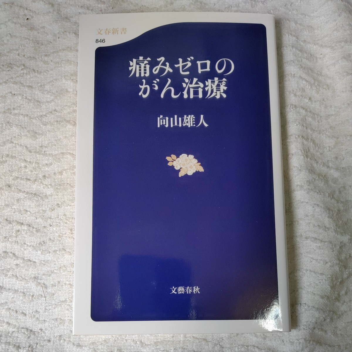 痛みゼロのがん治療 (文春新書) 向山 雄人 9784166608461_画像1