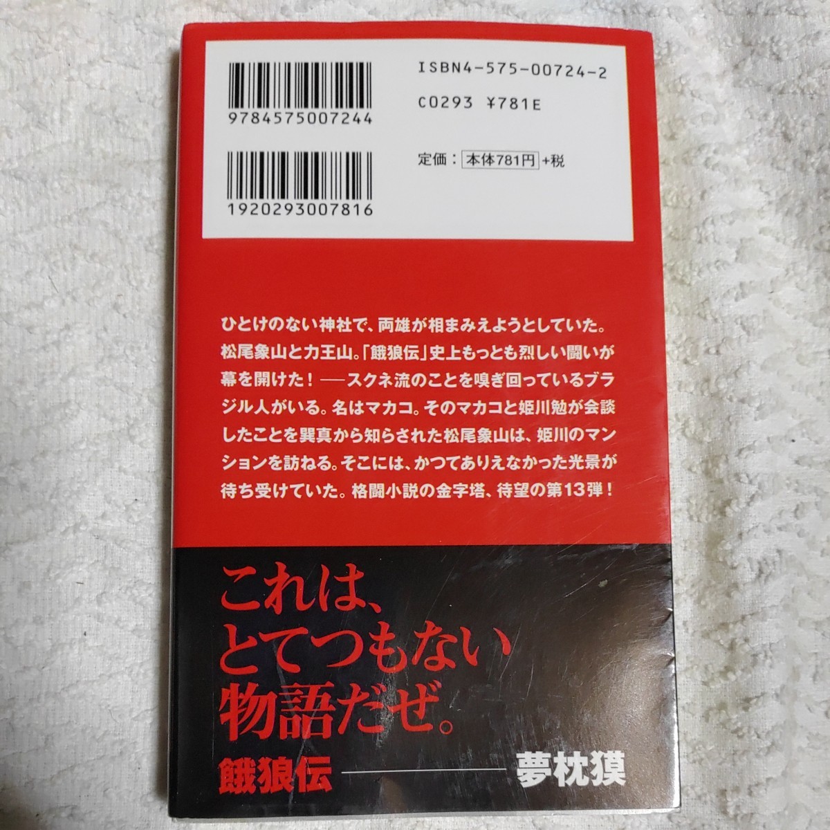 餓狼伝〈13〉 (FUTABA・NOVELS) 新書 夢枕 獏 9784575007244_画像2