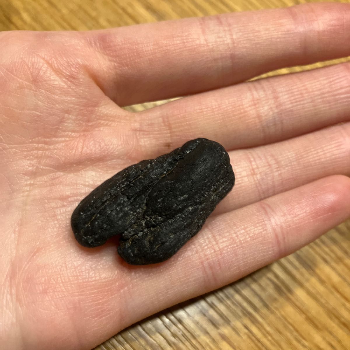 黒玉 ジェット 黒琥珀 木の化石 ブラックアンバー 原石|Yahoo 黒玉 ジェット 黒琥珀 木の化石 ブラックアンバー 原石|Yahoo