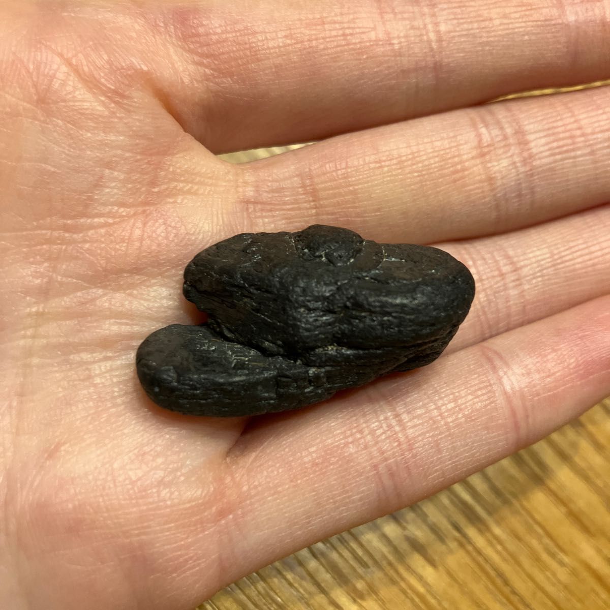 黒玉 ジェット 黒琥珀 木の化石 ブラックアンバー 原石|Yahoo 黒玉 ジェット 黒琥珀 木の化石 ブラックアンバー 原石|Yahoo