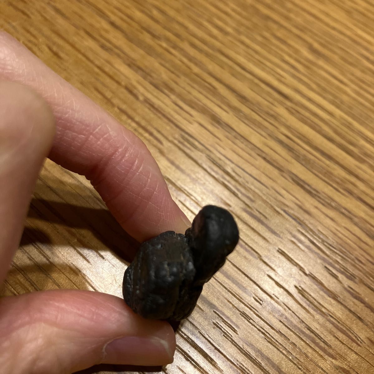 黒玉 ジェット 黒琥珀 木の化石 ブラックアンバー 原石|Yahoo 黒玉 ジェット 黒琥珀 木の化石 ブラックアンバー 原石|Yahoo