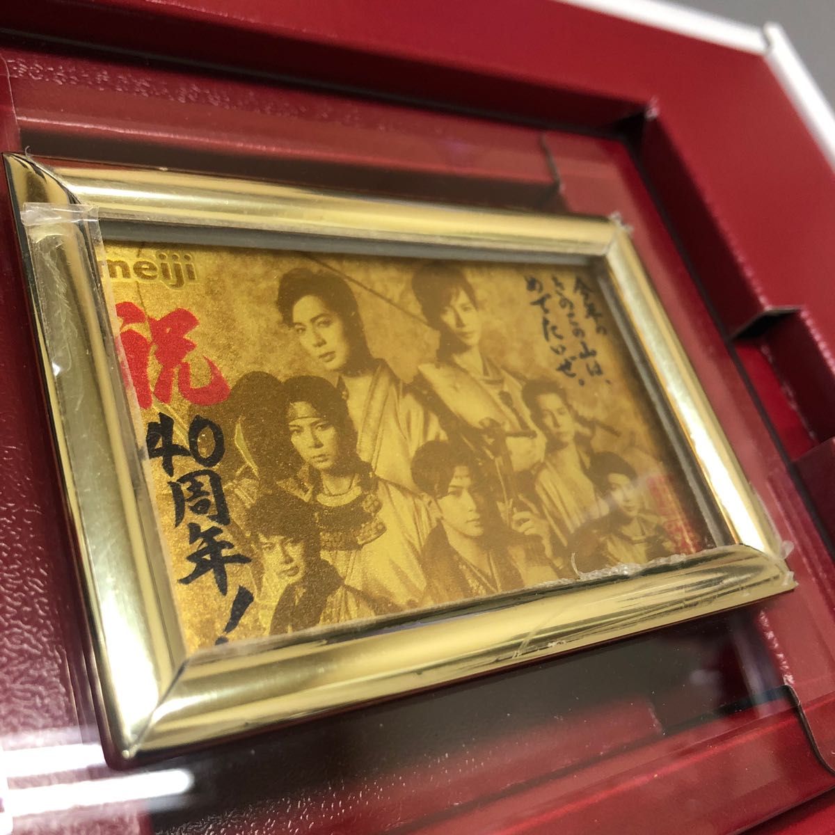 クリスマスローズ きのこの山40周年記念オリジナル松本潤金プレート