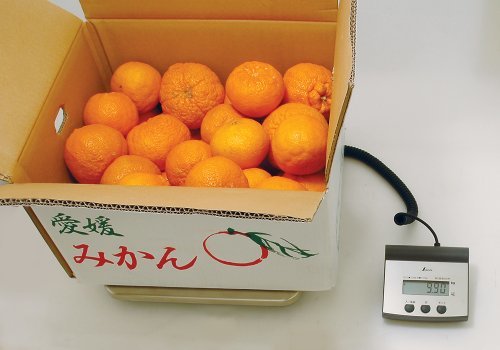 sinwa measurement (Shinwa Sokutei) digital pcs measuring .. type 100kg 70108