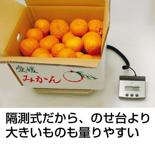 sinwa measurement (Shinwa Sokutei) digital pcs measuring .. type 100kg 70108