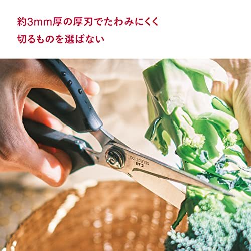 貝印 KAI キッチンはさみSELECT100 食洗機対応 DH3005_画像6