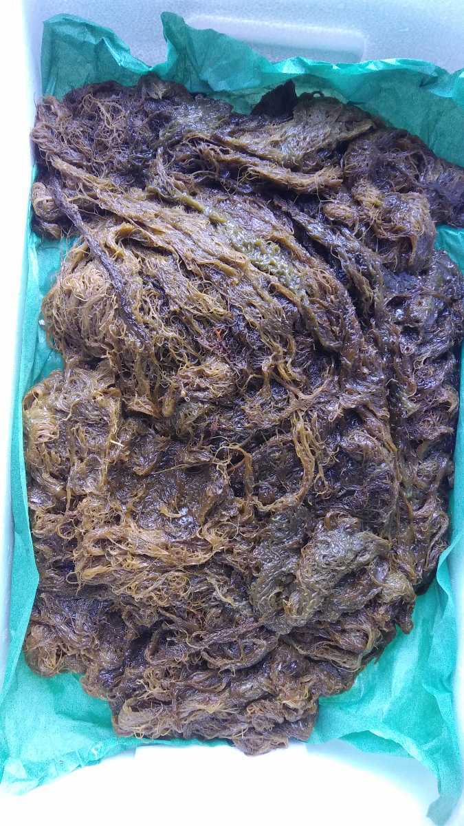( seaweed ) natural mozuku [go Momo zk]. mozuku 300g480 jpy prompt decision 