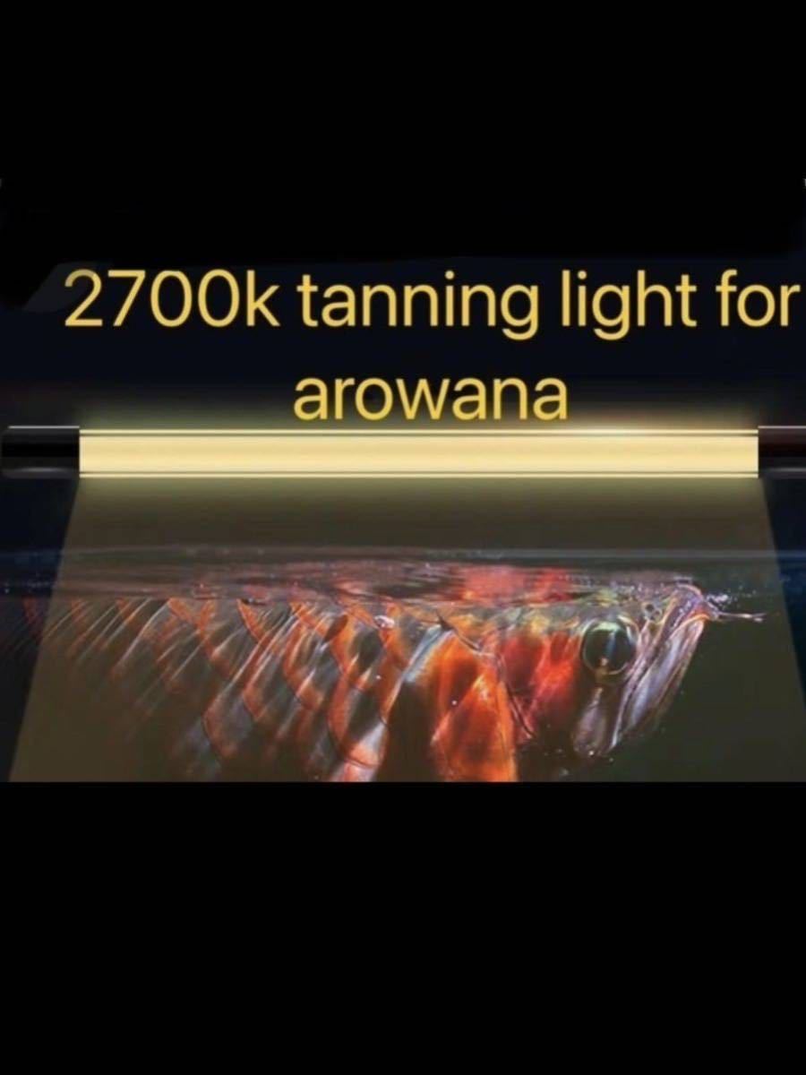 限定1本！馬印 Mayin 2700k Tanning ライト 142cm テンニングライト マインライト テニングライト_画像2