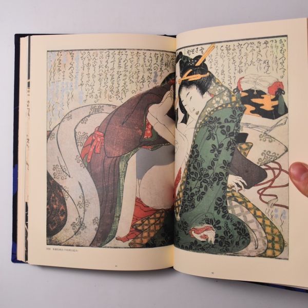 数量は多 本朝浮世絵草紙 画集 ezcarcarecenter.com