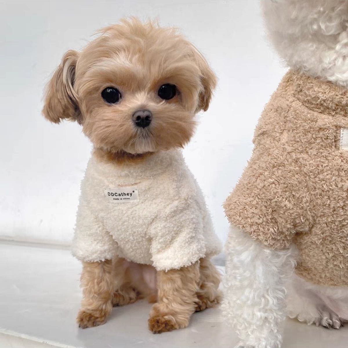【新品】ライトフリースセーター　犬服　犬の服　ドッグウェア　ホワイト