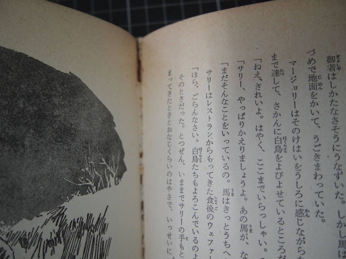 D-0993　魔ひょうの恐怖　世界探偵名作シリーズ　偕成社　昭和45年8月20日　読み物　図書　児童読み物_画像6