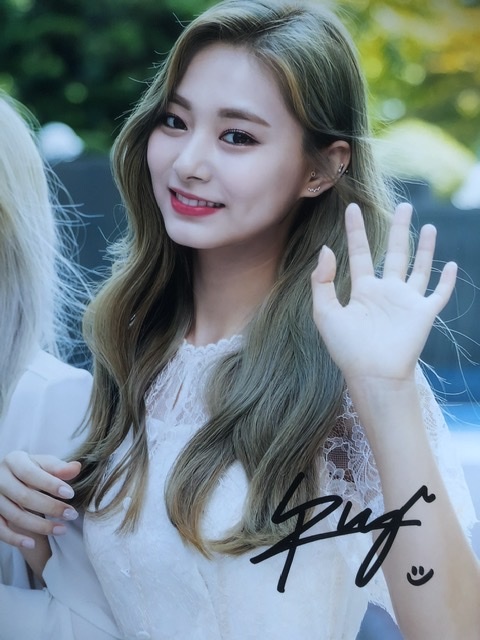 通販激安】 TWICE ツウィ 直筆 サイン 写真 アイドル