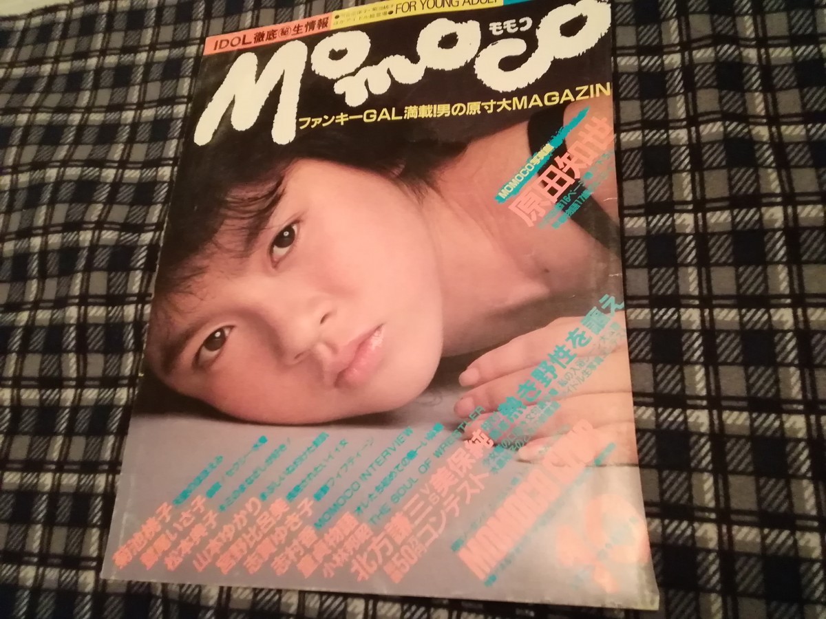 杉浦幸切り抜き1枚　雑誌Momoco表紙　80年代アイドル_画像1