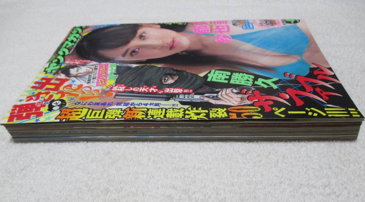 ヤングマガジン 2014年 49号 表紙 都丸紗也華 新連載 ザ ファブル 南