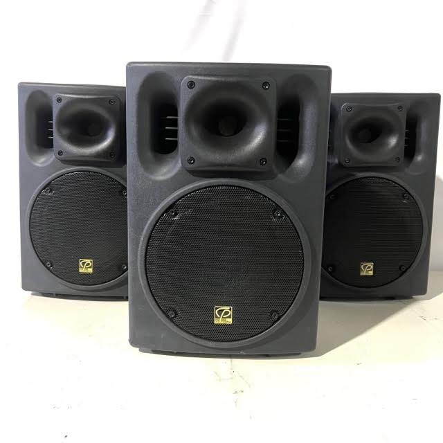 変更OK Classic Pro CSP10P ペア パワードスピーカー 完全動作品
