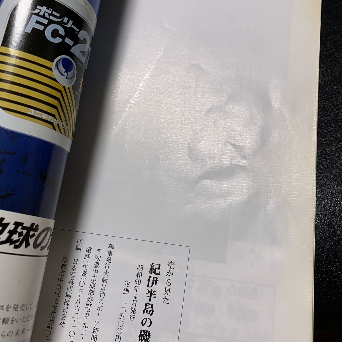 紀伊半島の磯 空から見た/釣り徹底ガイド 日刊スポーツ新聞社_画像8