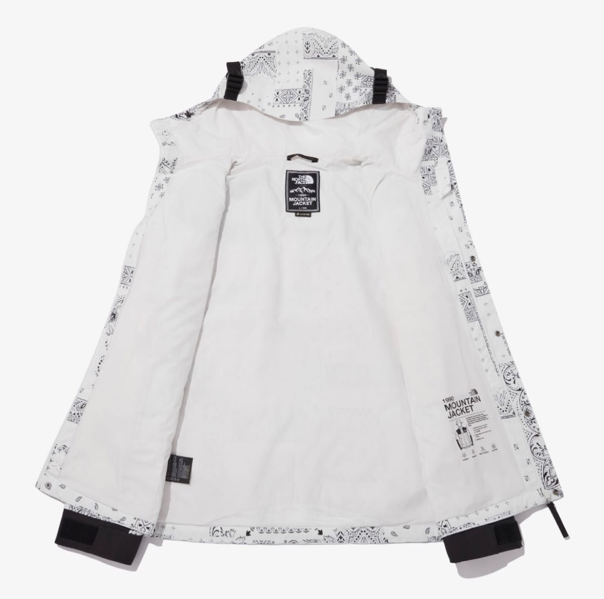 ノースフェイス NOVELTY ECO GTX MOUNTAIN JACKET | noonanwaste.com