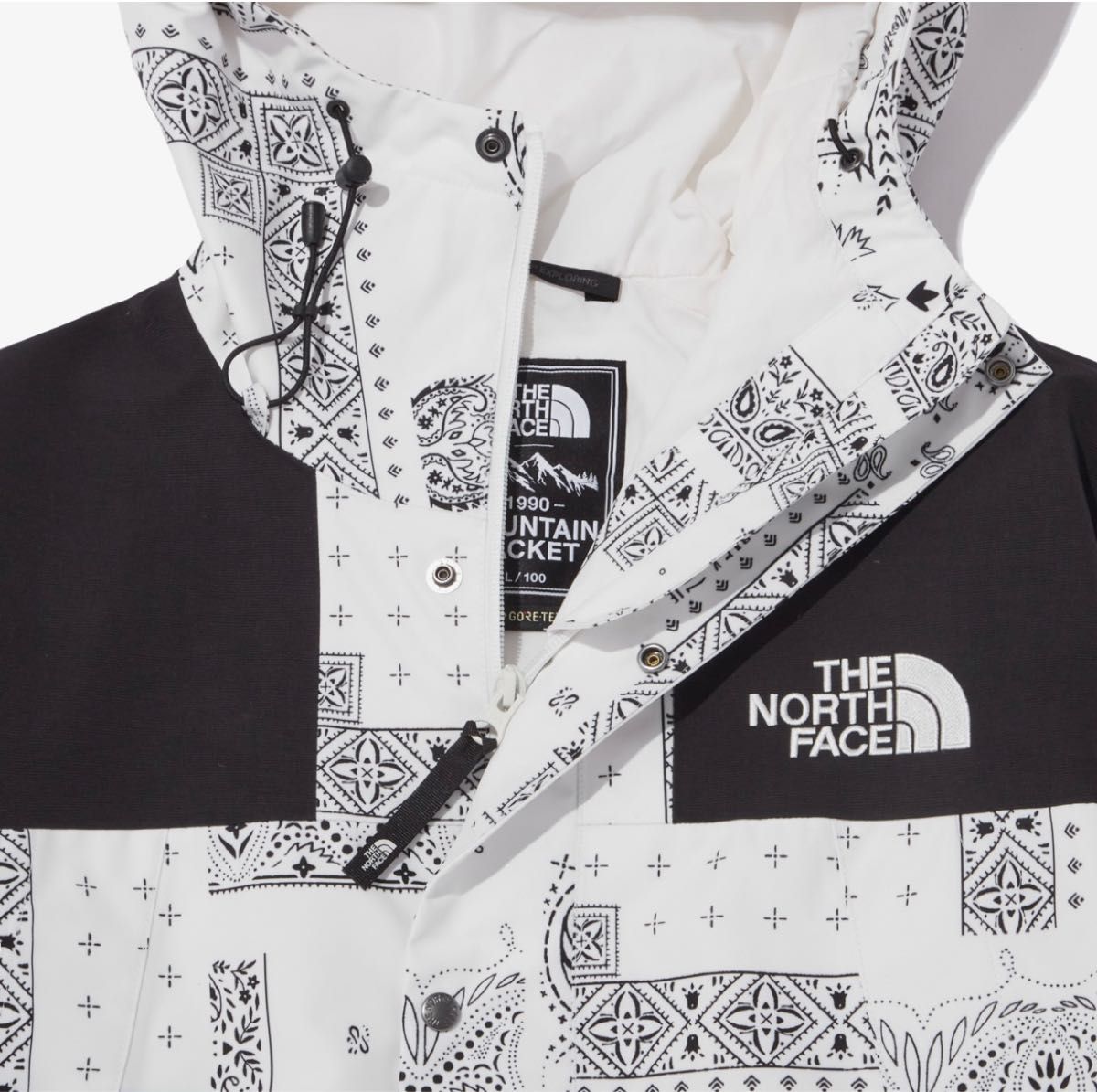 ノースフェイス NOVELTY ECO GTX MOUNTAIN JACKET | noonanwaste.com