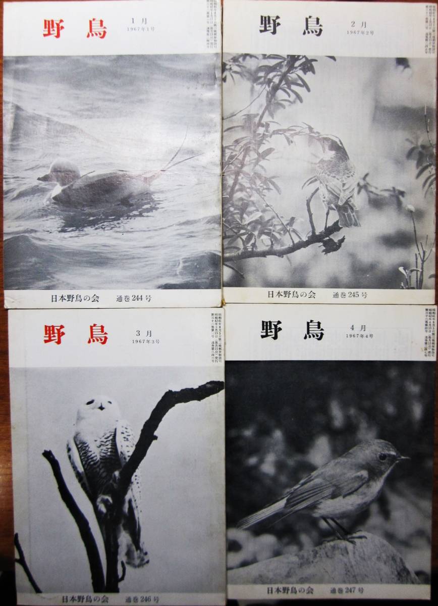 . журнал / дикая птица /1967 год 1-8 месяц 11 месяц /9 шт. # Япония дикая птица. .