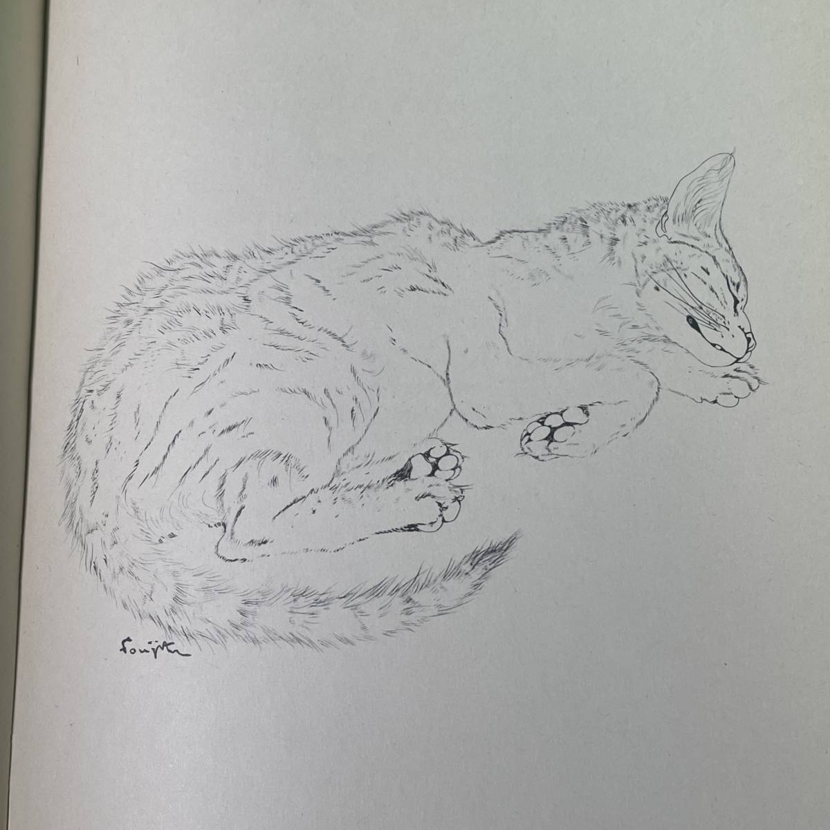 希少 「NIGHT AND THE CAT」夜と猫 藤田嗣治 挿絵 エリザベス 希少 「NIGHT AND THE CAT」夜と猫 藤田嗣治 挿絵 エリザベス