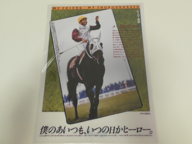 ヒーロー列伝 クリアファイル ハイセイコー ＪＲＡ来場ポイントキャンペーン 未開封品 非売品の画像1