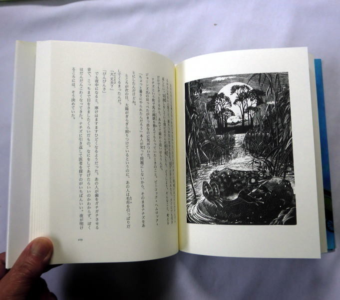 児童書「ジンゴ・ジャンゴの冒険旅行」 S・フライシュマン/絵：佐竹美保/渡辺了介訳　少年の波乱万丈の宝探しの旅_画像2