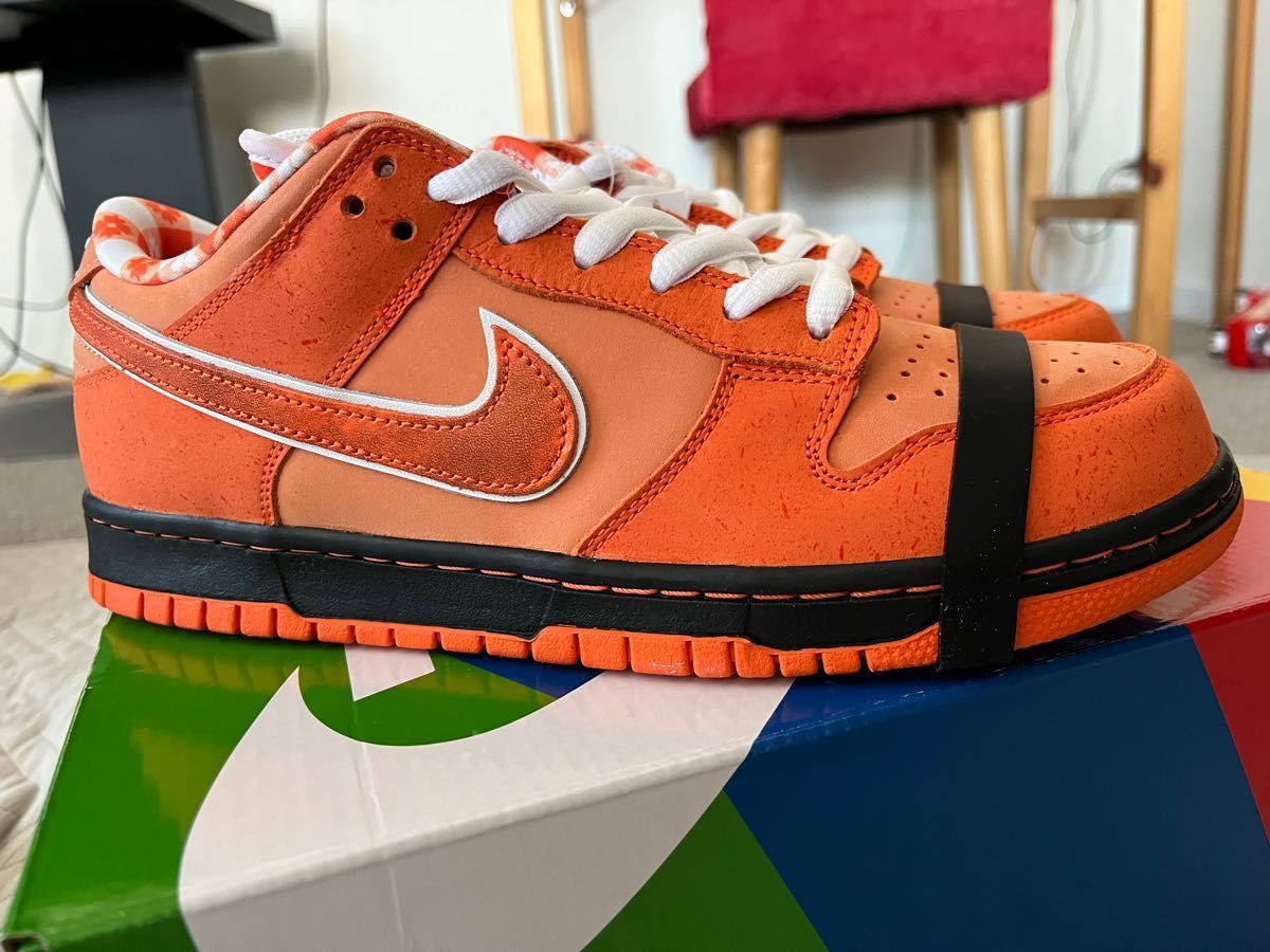 Concepts × Nike SB Dunk Low SP