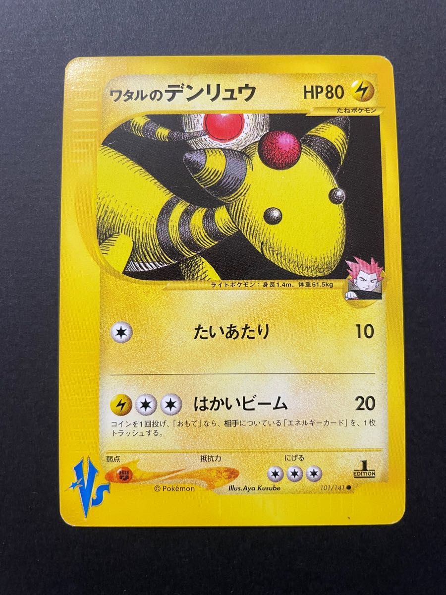 タマ様専用ワタルのデンリュウ&ミカンのデンリュウ ポケモンカードvs