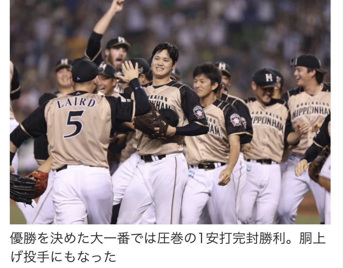 送料無料 即決 新品 北海道日本ハムファイターズ 大谷翔平選手 送料無料 即決 新品 北海道日本ハムファイターズ 大谷翔平選手