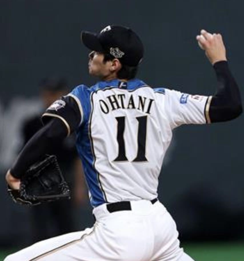 送料無料 即決 北海道日本ハムファイターズ 大谷翔平選手 送料無料 即決 北海道日本ハムファイターズ 大谷翔平選手