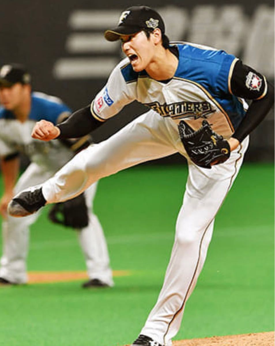 送料無料 即決 北海道日本ハムファイターズ 大谷翔平選手 送料無料 即決 北海道日本ハムファイターズ 大谷翔平選手