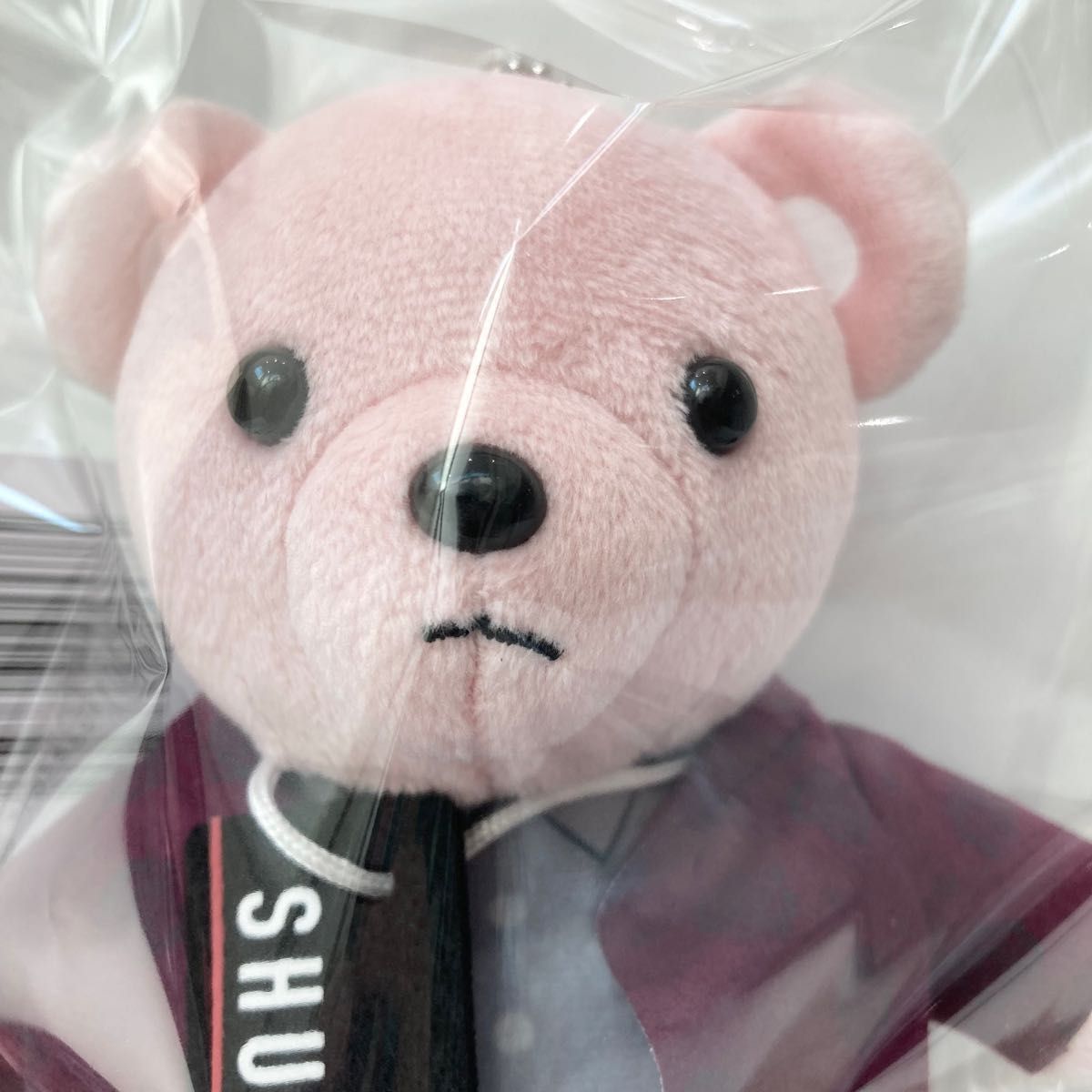 新品 BE FIRST シュント SHUNTO モアプラス ぬいぐるみ Gifted 新品 BE FIRST シュント SHUNTO モアプラス ぬいぐるみ Gifted