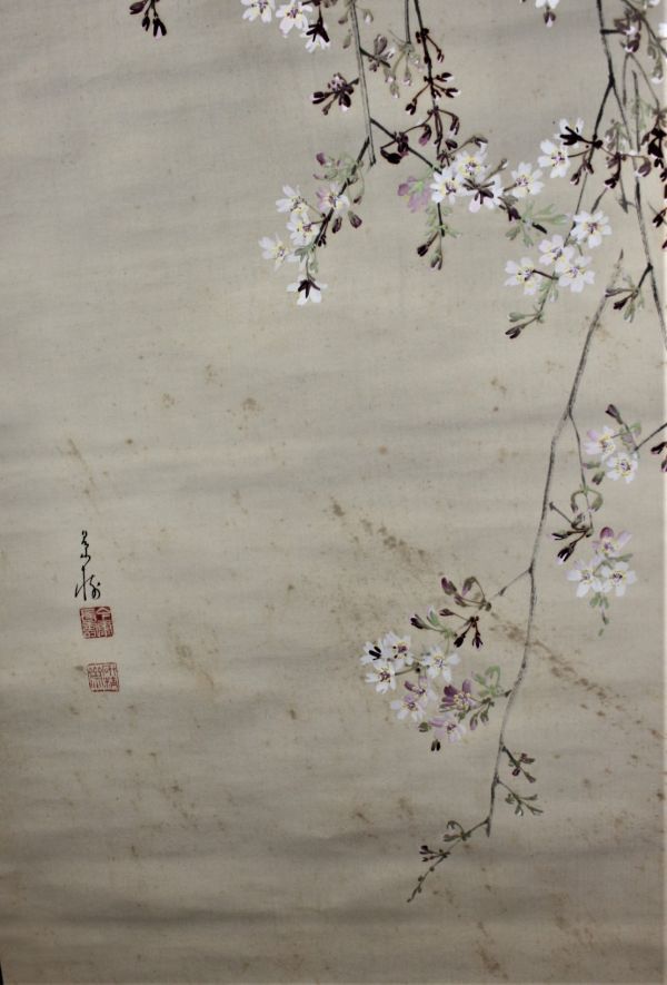 16000円最 安 商品 激安大特価 掛け軸【夜桜】今井景樹 2525 花見 朧月
