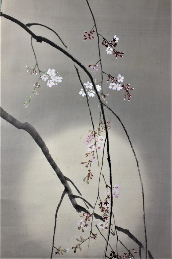 16000円最 安 商品 激安大特価 掛け軸【夜桜】今井景樹 2525 花見 朧月