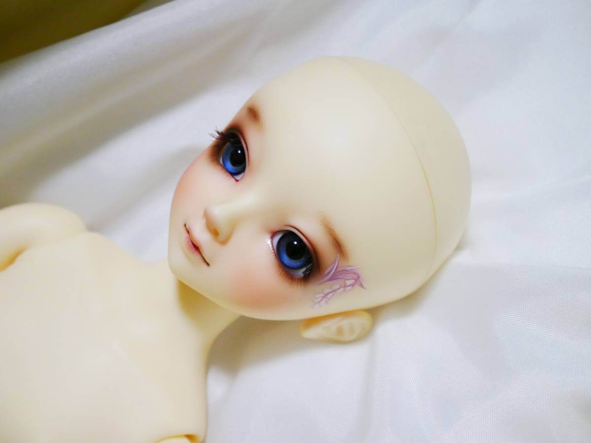 ボークス MSD女の子 29番 MSD-F-29 カスタムメイク コーディネート
