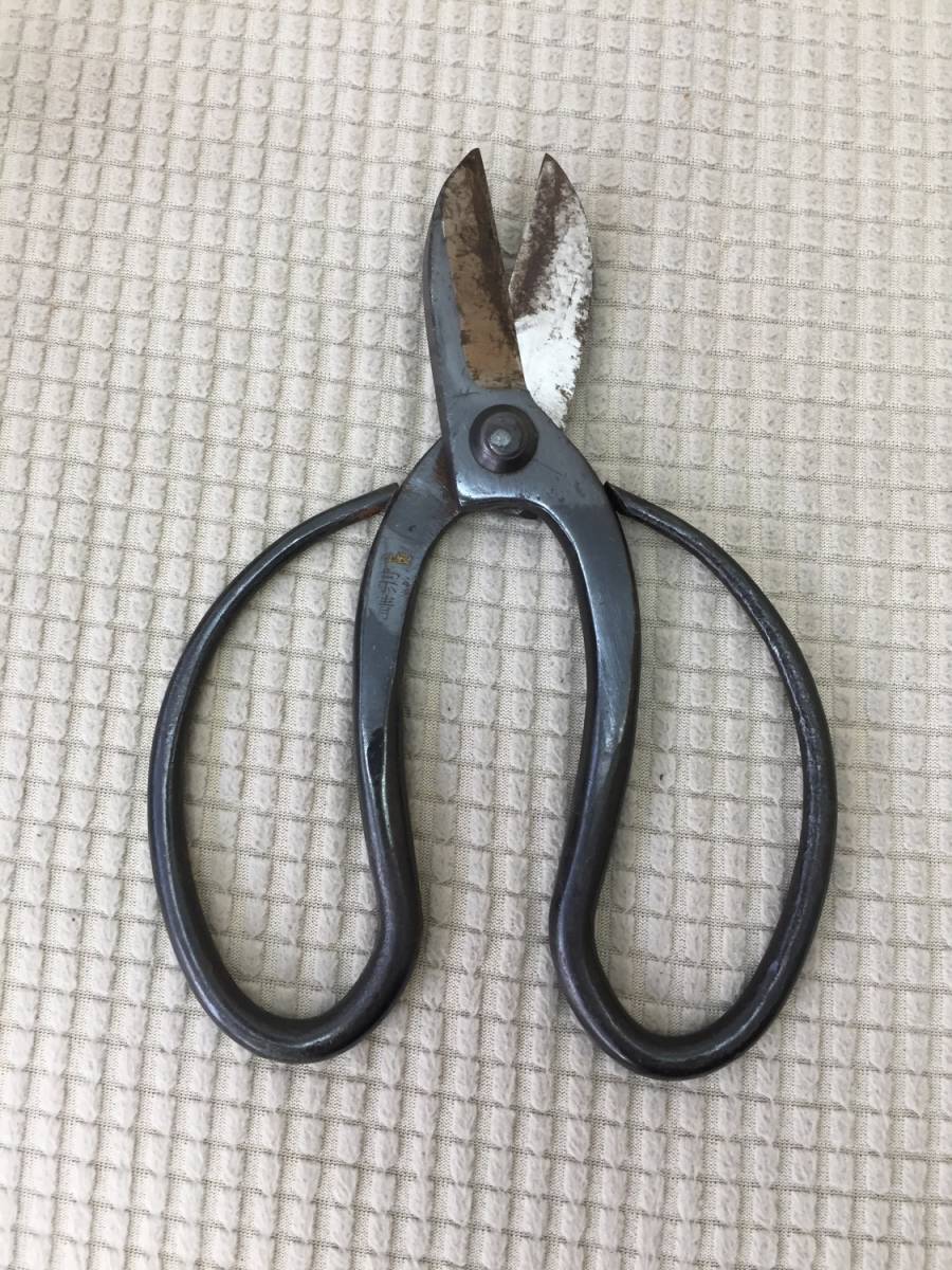 [ pruning .]. Kiyoshi. like ... like character equipped plant bonsai pruning basami scissors structure . rust. like discoloration equipped 