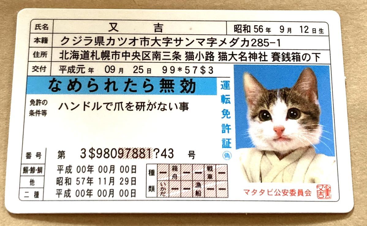 元祖なめ猫 なめんなよ なめねこ 昭和レトロ 免許証2枚セットヤンキー