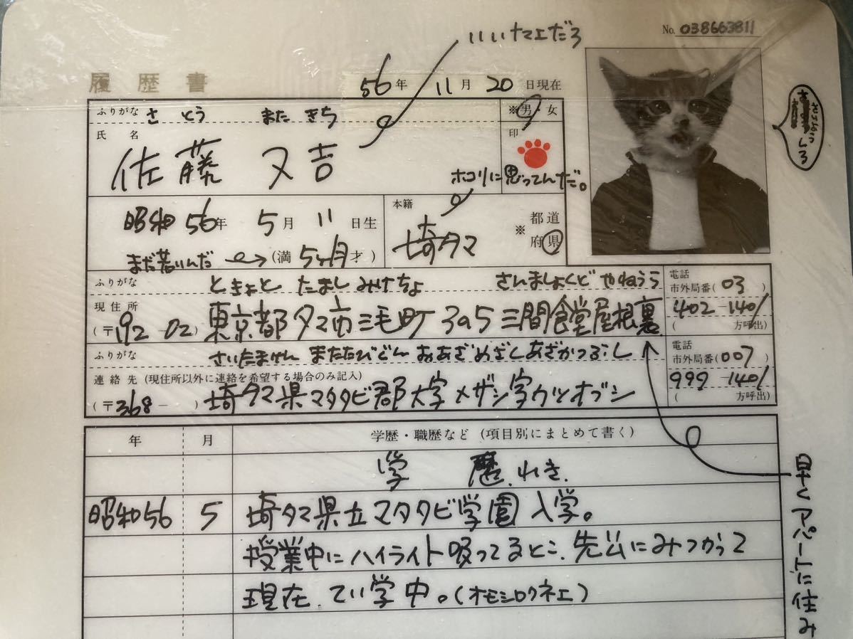 昭和56年当時物◆元祖なめ猫なめんなよ◆佐藤又吉履歴書 指名手配下敷き◆新品未使用 昭和レトロ なめねこ 免許証 ヤンキー 暴走族 トレカ_画像3