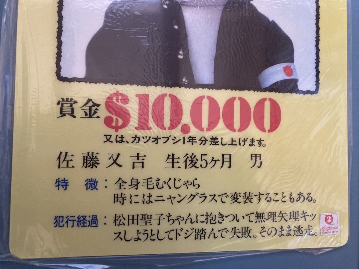 昭和56年当時物◆元祖なめ猫なめんなよ◆佐藤又吉履歴書 指名手配下敷き◆新品未使用 昭和レトロ なめねこ 免許証 ヤンキー 暴走族 トレカ_画像6