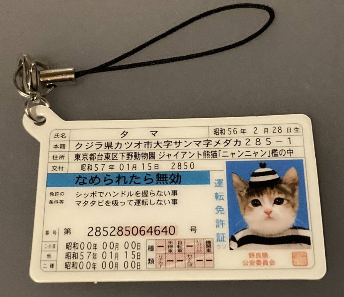 元祖なめ猫 なめんなよ なめねこ 昭和レトロ 免許証ストラップその③